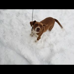 Meet your Posher, Rachel